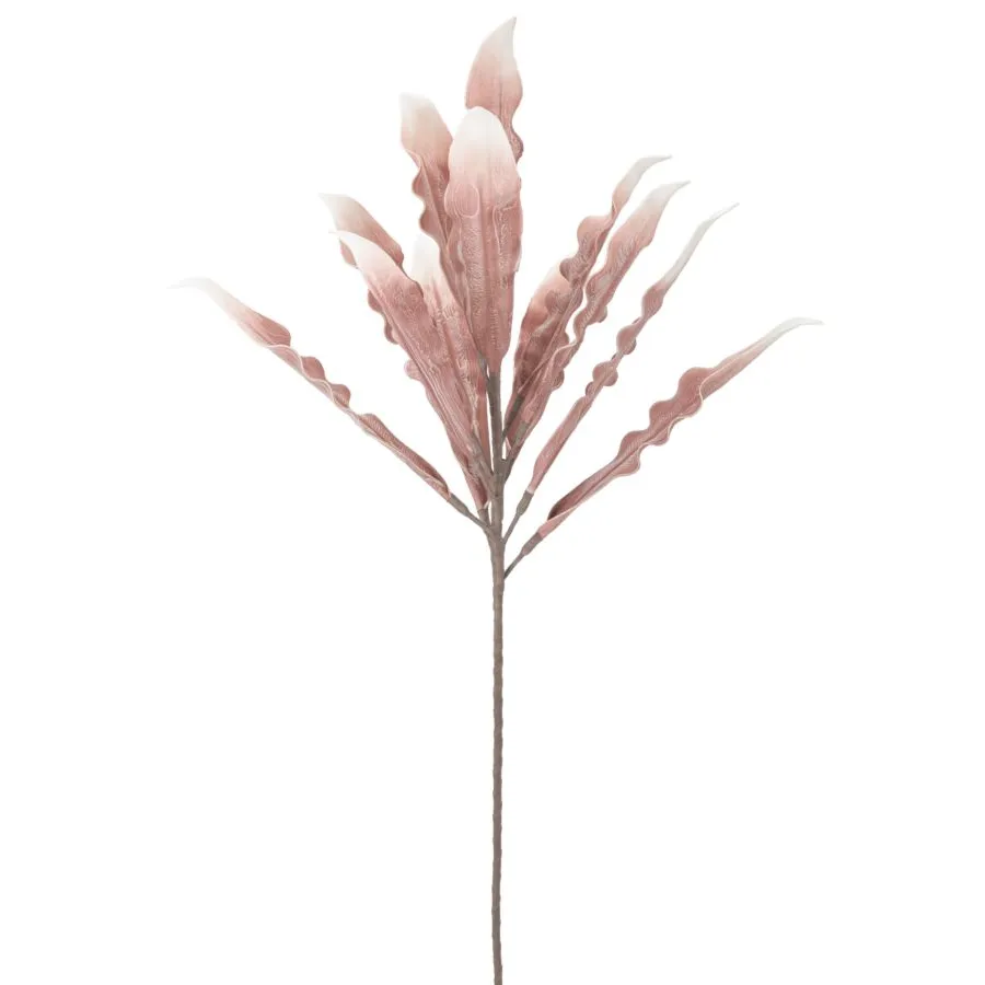ALOE ROSA Ø 30X98 10 cm